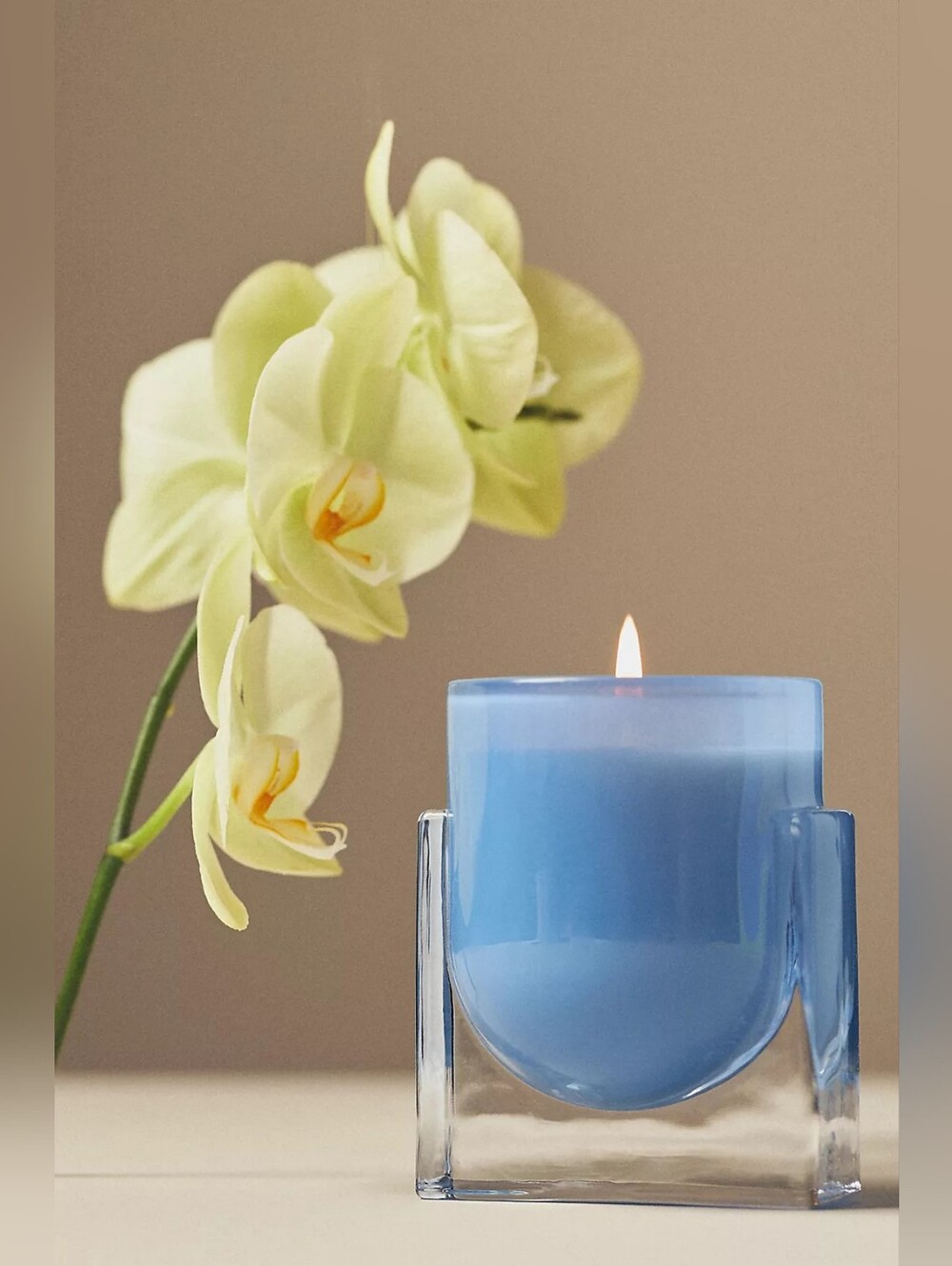 Anthropologie Found Notes Floral Yuzu & Neroli Candle
